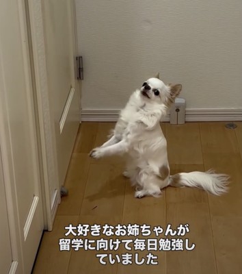 「出てきてよぉ」