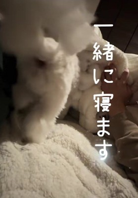 Haruちゃんの粘り勝ち！！