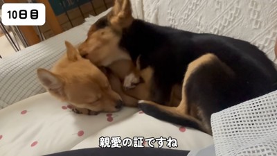 兄妹の成長が楽しみです！