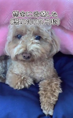 徐々に体調が安定してきた