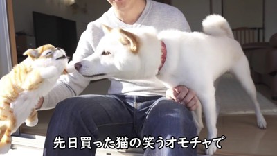 おもちゃで遊んで…