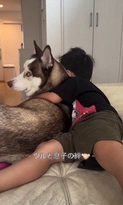 男の子を慰めるウルくん