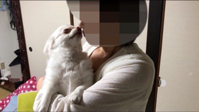 女性に抱き上げられ、女性の鼻に自分の鼻を近づける犬