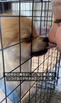 鼻をくっつけるイクラちゃん2