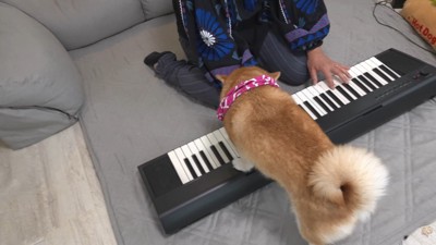 興味がありすぎて前のめりに