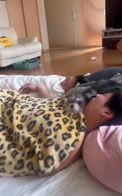 あご乗せする貂ちゃん