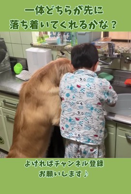 「どちらか先に落ち着くかな？」