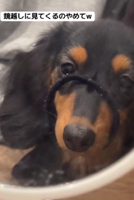 「ヘアゴムどこいった?」