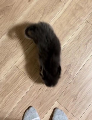 ソラくんが駆け寄ってきて…