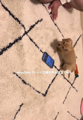 びっくりして振り向くツキちゃん