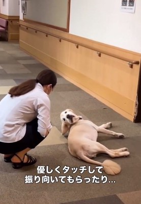 振り向くりくくん