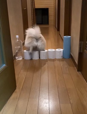 後ろ向きになった!