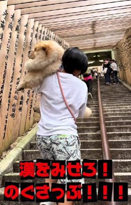 米俵作戦に切り替えよう！！