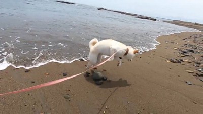「うわあっ!」と飛び上がるノンくん