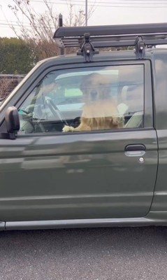 寂しがり屋すぎるトノくん4