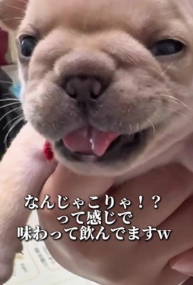 「なんじゃこりゃ?」