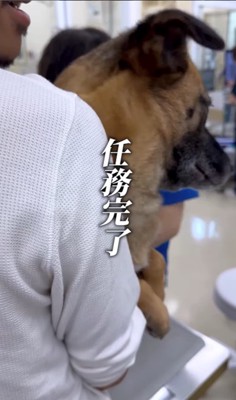 動物病院でビビりまくるアキちゃん9
