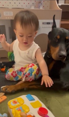 テンくんとニルくんの違い3