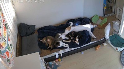 みんなのお気に入りの場所