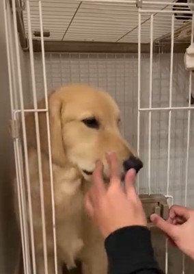 扉を閉めようとする飼い主さん