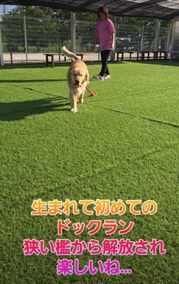 広い芝生に大喜び!!