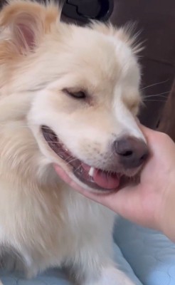 ぼーちゃんの変化4