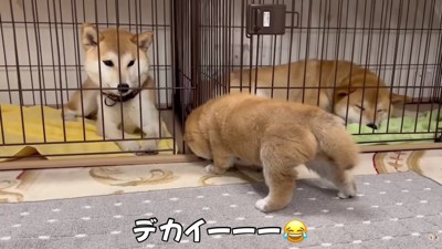 冒険中の笑太郎くん