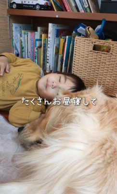 ときには一緒に寝て