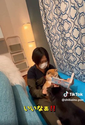 仲間に入りたいチビさん