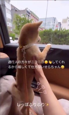 ドライブ中のせらちゃん2