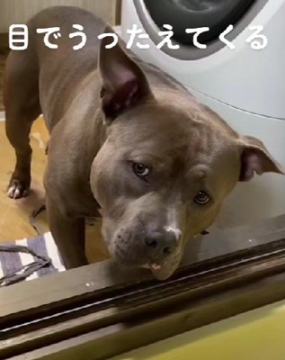 「取ってください…」