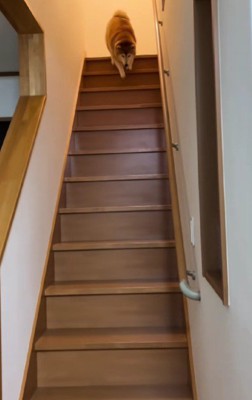 お姉ちゃんのお出迎え