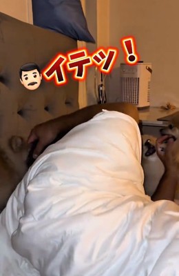 飛び起きるパパ