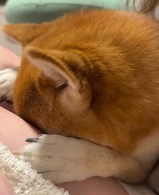 あからさまにしょんぼり
