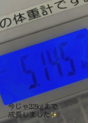 たった5キロしかなかったよ