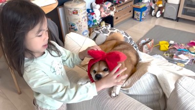 もう一度「噛んだ?」と問い詰めたら…