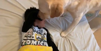 男の子を起こすバウくん7