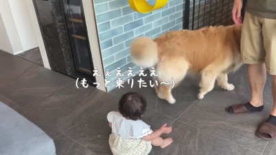 「まだ乗りたい!!」