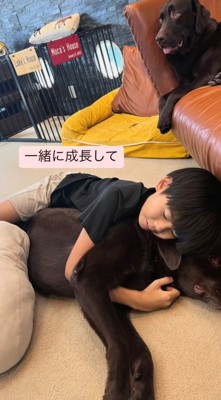 家の中で犬を抱きしめながら眠る子ども