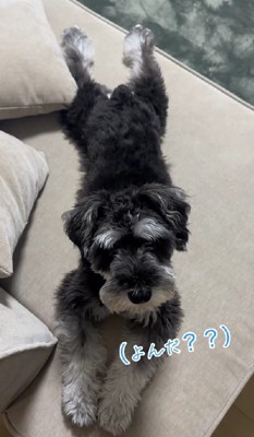 体も逞しく成長