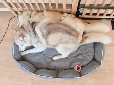 ぴったり