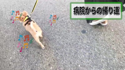 帰宅することに