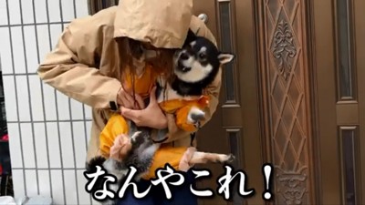 カッパを脱ぐときも怒るすみすみちゃん