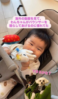 あさりちゃんと赤ちゃん