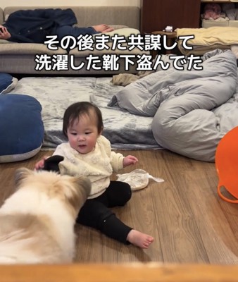 床に座り靴下を手にする赤ちゃん