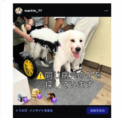 兄弟