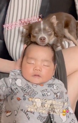 エルアちゃんと赤ちゃん2