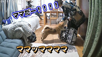 感動の再会!