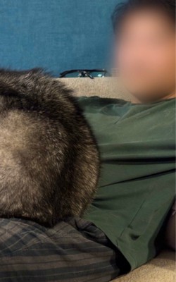 ソファでくつろぐ飼い主さん