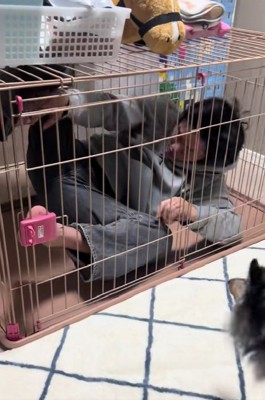 ヒメサンのケージの中！！